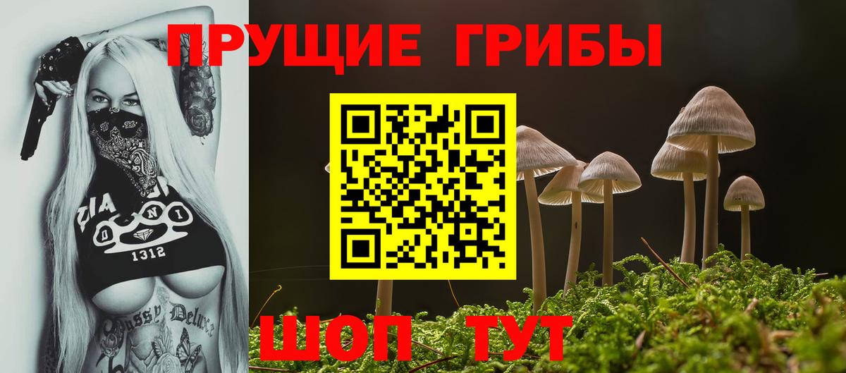 Галлюциногенные грибы Psilocybine cubensis  Вход с VPN  Сокол 